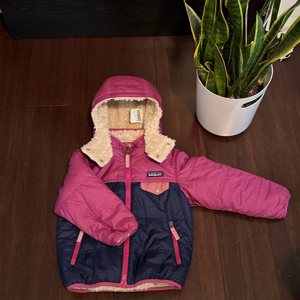 Patagonia Reversible Jacket